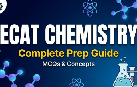 Gemini_Generated_Image_mt3xslmt3xslmt3x